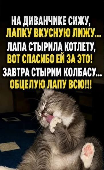НА ДИВАНЧИКЕ СИЖУ, ЛАПКУ ВКУСНУЮ ЛИЖУ... ЛАПА СТЫРИЛА КОТЛЕТУ, ВОТ СПАСИБО ЕЙ ЗА ЭТО! ЗАВТРА СТЫРИМ КОЛБАСУ... ОБЦЕЛУЮ ЛАПУ ВСЮ!!!