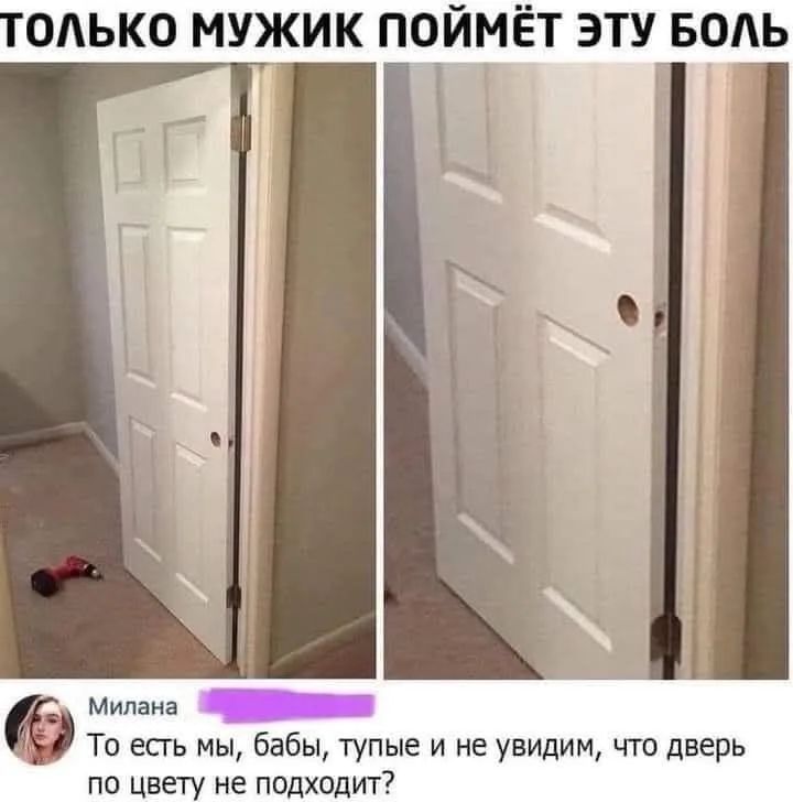 ТОЛЬКО МУЖИК ПОЙМЁТ ЭТУ БОЛЬ Милана То есть мы, бабы, тупые и не увидим, что дверь по цвету не подходит?