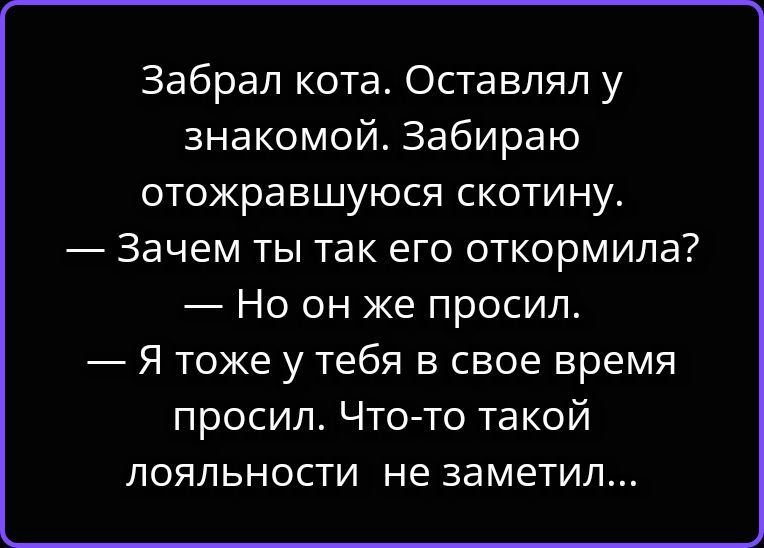 Забрал кота. Оставлял у знакомой. Забираю отожравшуюся скотину. — Зачем ты так его откормила? — Но он же просил. — Я тоже у тебя в свое время просил. Что-то такой лояльности не заметил...