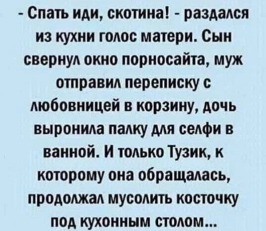 - Спать иди, скотина! - раздался из кухни голос матери. Сын свернул окно порносайта, муж отправил переписку с любовницей в корзину, дочь выронила палку для селфи в ванной. И только Тузик, к которому она обращалась, продолжал мусолить косточку под кухонным столом...