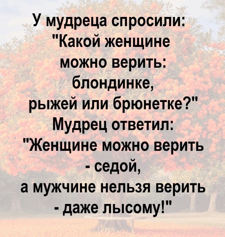 У мудреца спросили: 