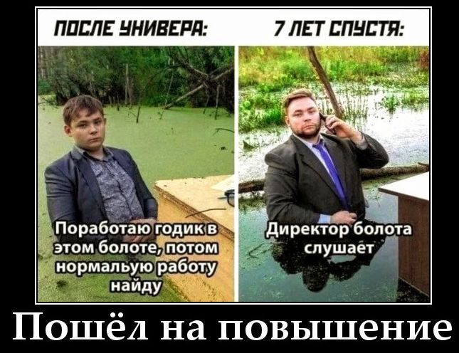 ПОСЛЕ УНИВЕРА: 7 ЛЕТ СПУСТЯ: Поработаю годик в этом болоте, потом нормальную работу найду Директор болота слушает Пошёл на повышение