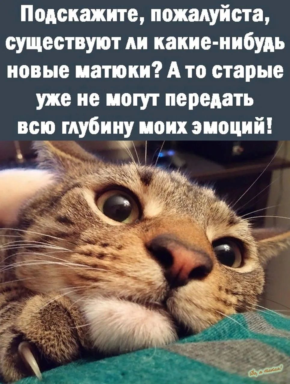 Подскажите, пожалуйста, существуют ли какие-нибудь новые матюки? А то старые уже не могут передать всю глубину моих эмоций!