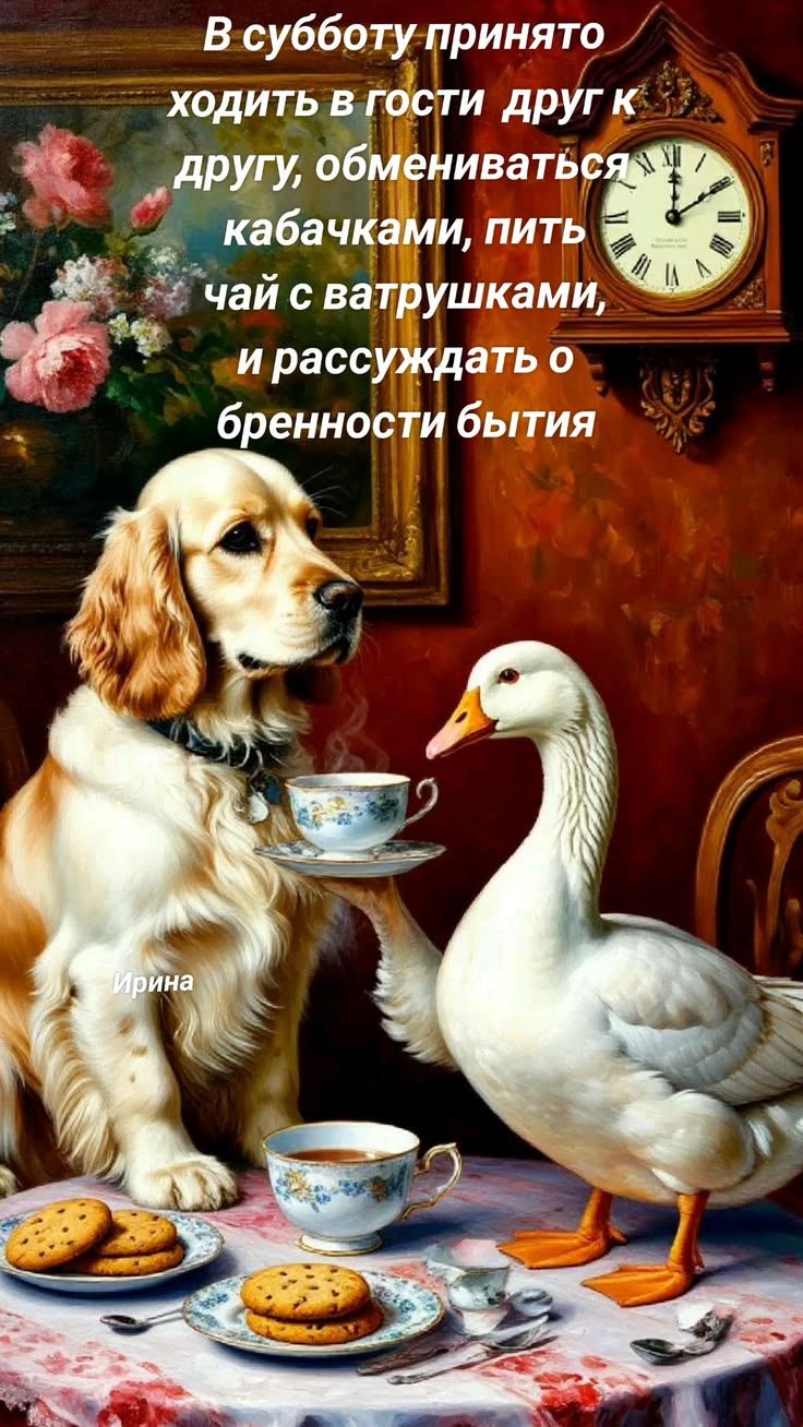 В субботу принято ходить в гости друг к другу, обмениваться кабачками, пить чай с ватрушками, и рассуждать о бренности бытия. Ирина.