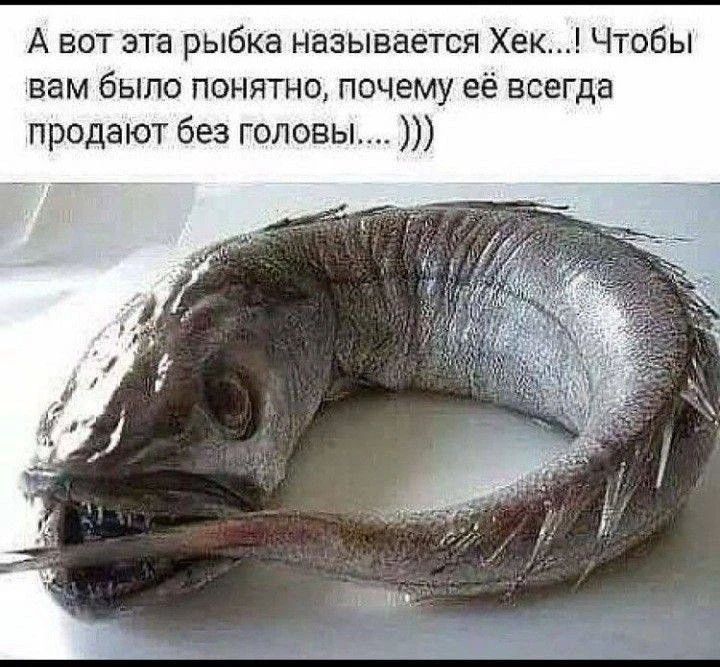 А вот эта рыбка называется Хек...! Чтобы вам было понятно, почему её всегда продают без головы....)))