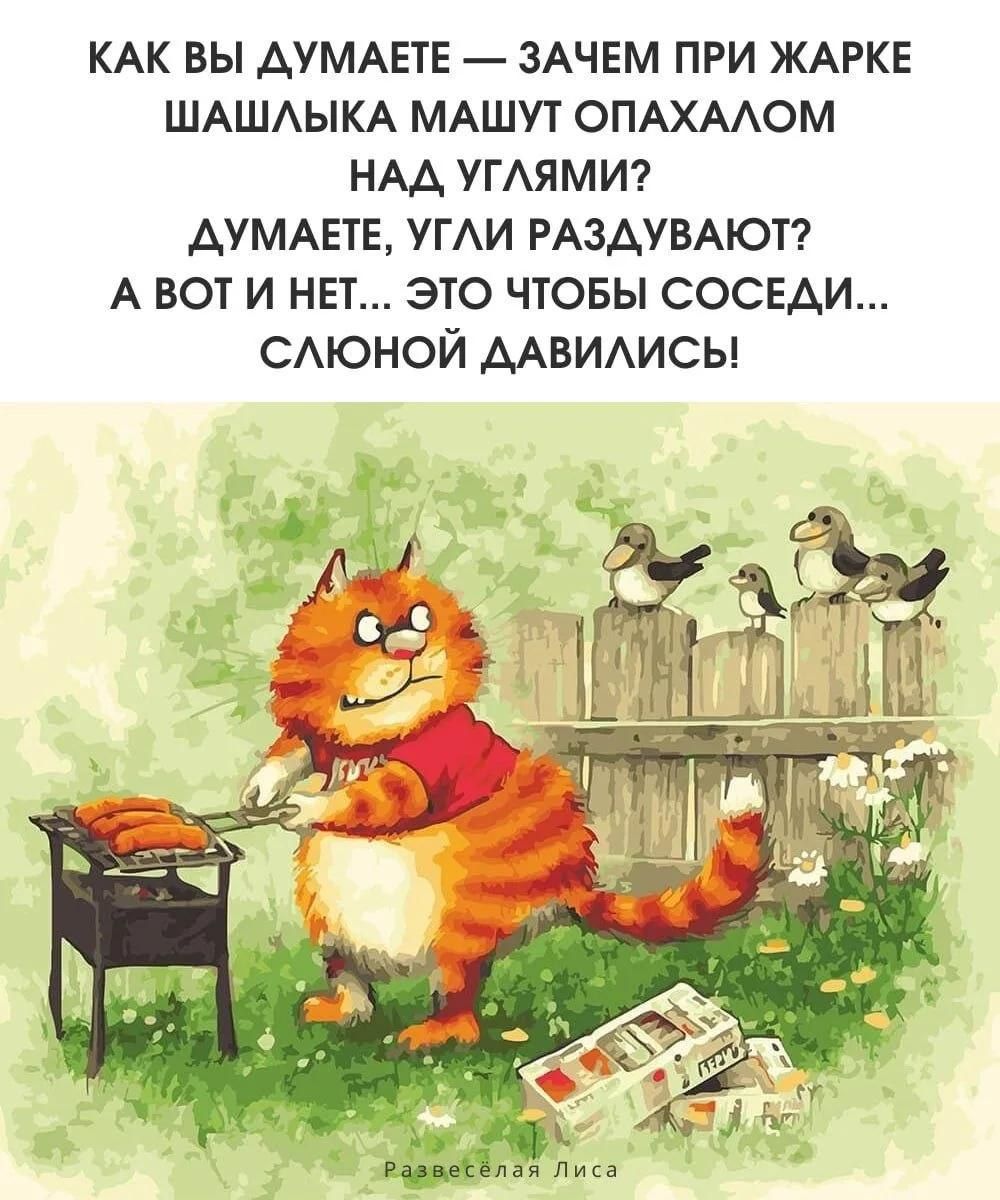 КАК ВЫ ДУМАЕТЕ — ЗАЧЕМ ПРИ ЖАРКЕ ШАШЛЫКА МАШУТ ОПАХАЛОМ НАД УГЛЯМИ? ДУМАЕТЕ, УГЛИ РАЗДУВАЮТ? А ВОТ И НЕТ... ЭТО ЧТОБЫ СОСЕДИ... СЛЮНОЙ ДАВИЛИСЬ! Развесёлая Лиса