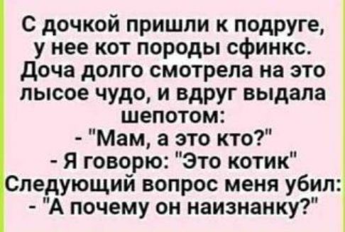 С дочкой пришли к подруге, у нее кот породы сфинкс. Доча долго смотрела на это лысое чудо, и вдруг выдала шепотом: - 