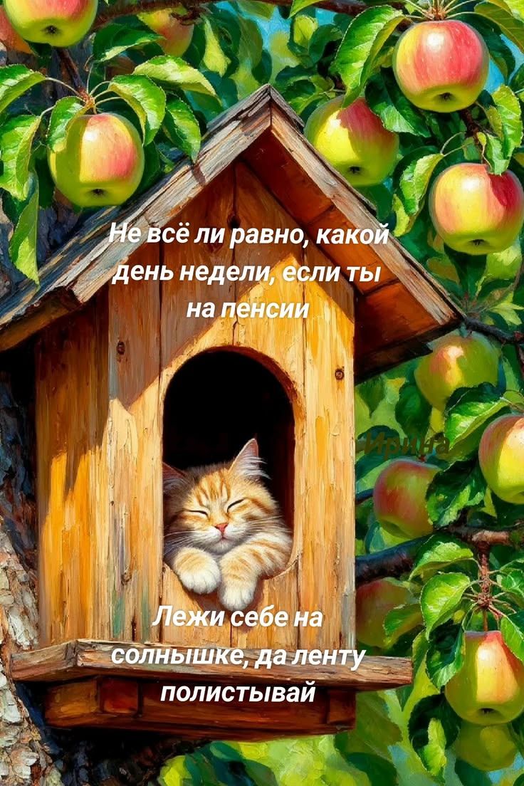 Не всё ли равно, какой день недели, если ты на пенсии. Лежи себе на солнышке, да ленту полистывай.