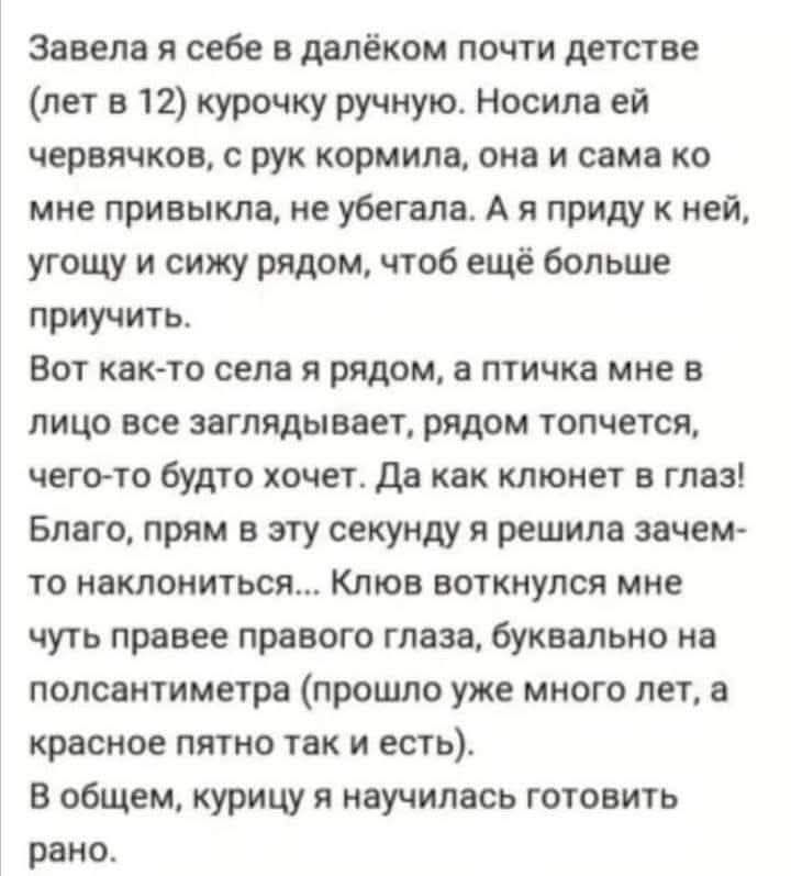 Завела я себе в далёком почти детстве (лет в 12) курочку ручную. Носила ей червячков, с рук кормила, она и сама ко мне привыкла, не убегала. А я приду к ней, угощу и сижу рядом, чтоб ещё больше приучить. Вот как-то села я рядом, а птичка мне в лицо все заглядывает, рядом топчется, чего-то будто хочет. Да как клюнет в глаз! Благо, прям в эту секунду