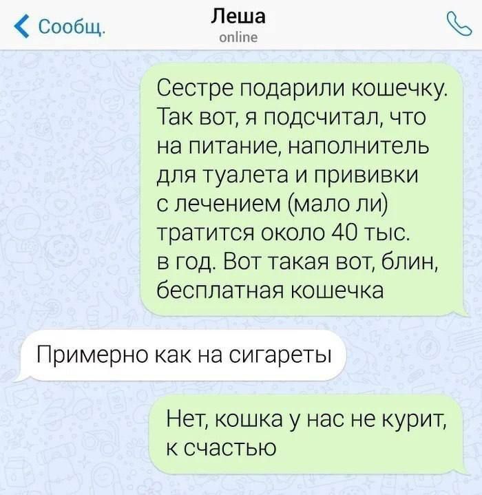 Сообщ. Леша online Сестре подарили кошечку. Так вот, я подсчитал, что на питание, наполнитель для туалета и прививки с лечением (мало ли) тратится около 40 тыс. в год. Вот такая вот, блин, бесплатная кошечка Примерно как на сигареты Нет, кошка у нас не курит, к счастью