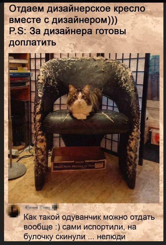 Отдаем дизайнерское кресло вместе с дизайнером))) P.S: За дизайнера готовы доплатить. Как такой одуванчик можно отдать вообще :) сами испортили, на булочку скинули ... нелюди. KIRKLAND MIXED NUTS MELANGE DE NOIX