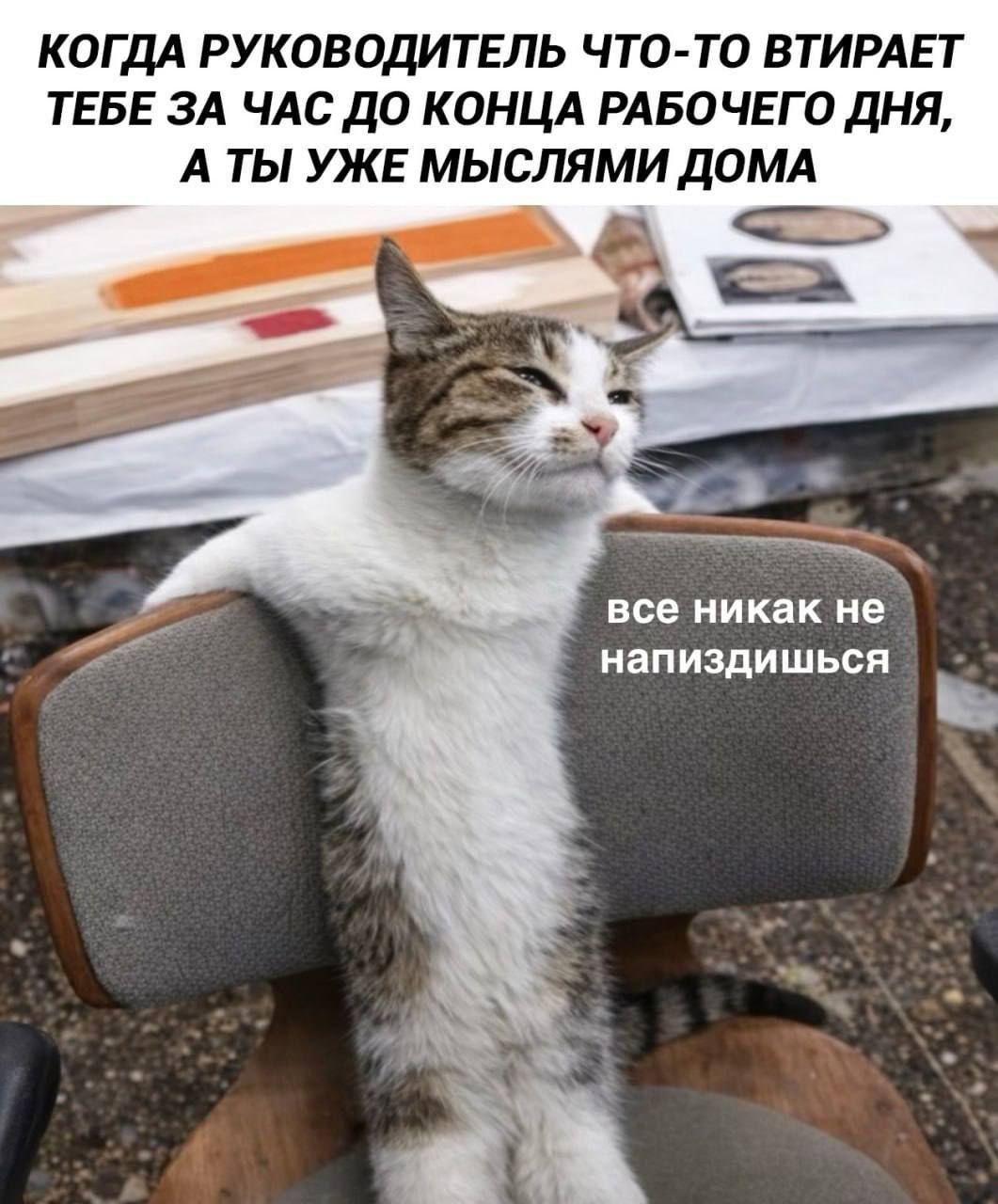КОГДА РУКОВОДИТЕЛЬ ЧТО-ТО ВТИРАЕТ ТЕБЕ ЗА ЧАС ДО КОНЦА РАБОЧЕГО ДНЯ, А ТЫ УЖЕ МЫСЛЯМИ ДОМА все никак не напиздишься