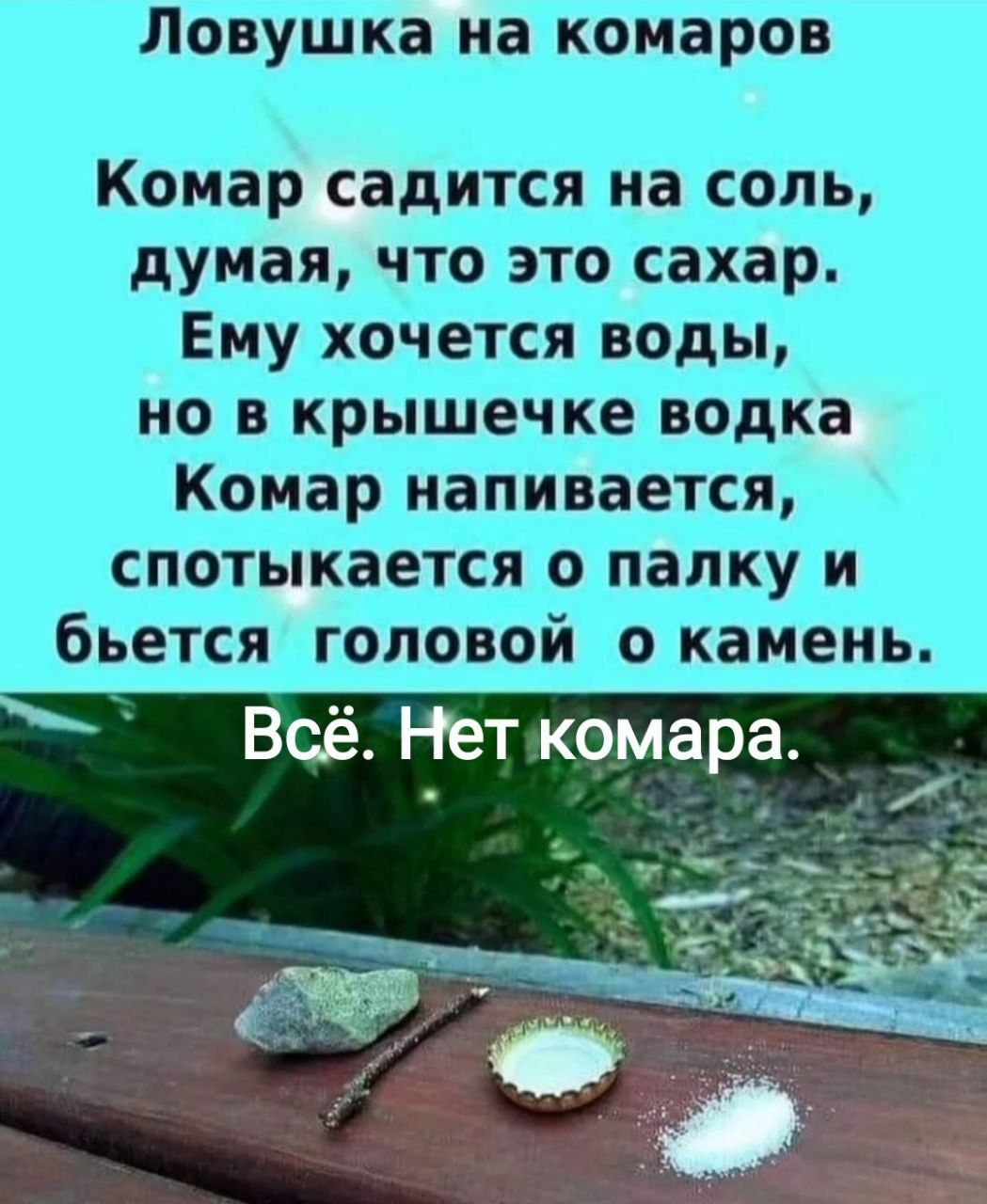Ловушка на комаров Комар садится на соль, думая, что это сахар. Ему хочется воды, но в крышечке водка Комар напивается, спотыкается о палку и бьется головой о камень. Всё. Нет комара.