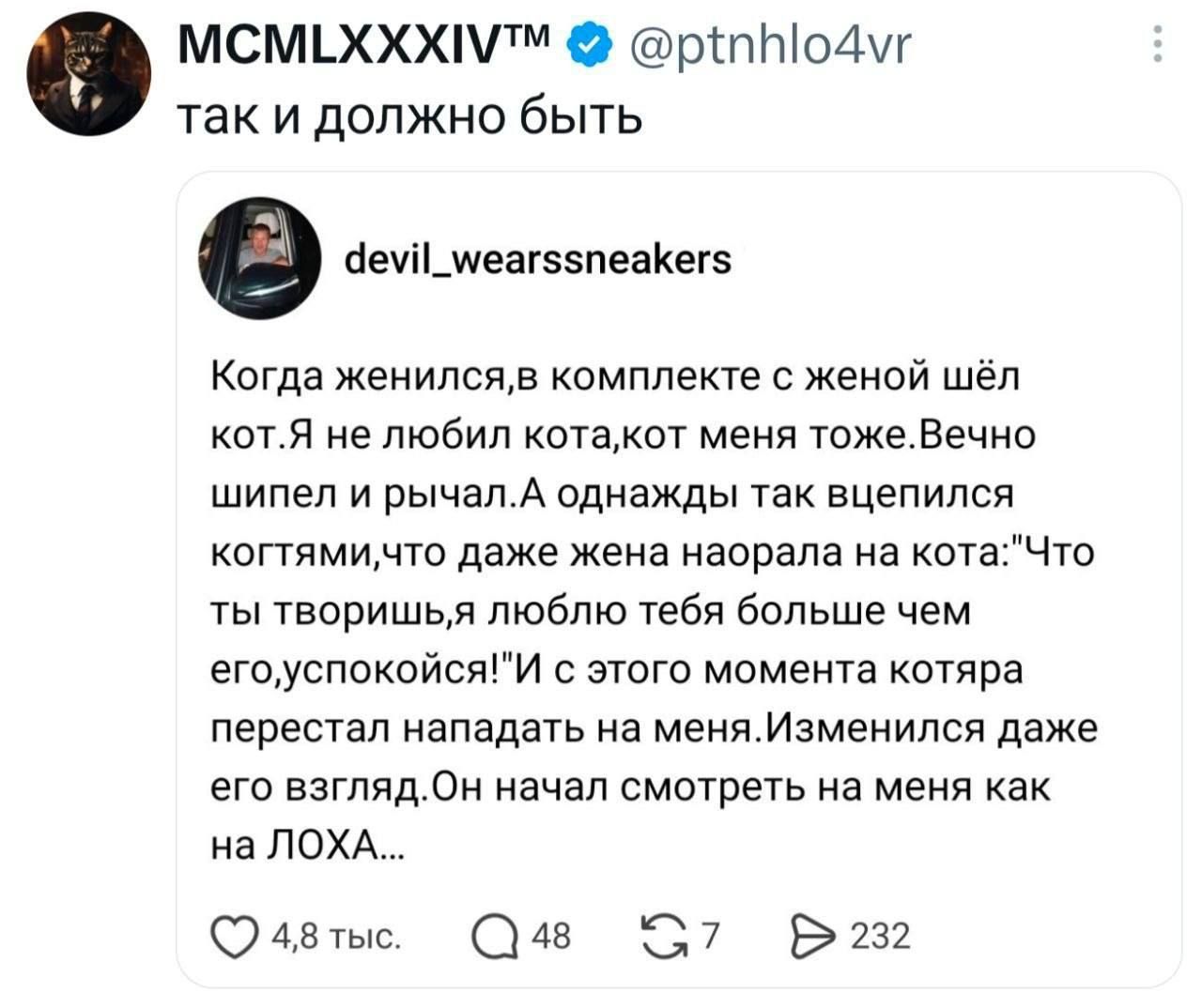 MCMLXXXIV™ @ptnhlo4vr так и должно быть devil_wearssneakers Когда женился, в комплекте с женой шёл кот. Я не любил кота, кот меня тоже. Вечно шипел и рычал. А однажды так вцепился когтями, что даже жена наорала на кота: 