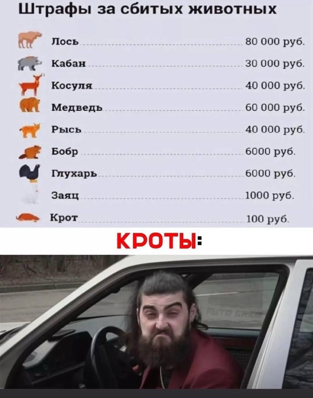 Штрафы за сбитых животных. Лось 80 000 руб. Кабан 30 000 руб. Косуля 40 000 руб. Медведь 60 000 руб. Рысь 40 000 руб. Бобр 6000 руб. Глухарь 6000 руб. Заяц 1000 руб. Крот 100 руб. КРОТЫ: