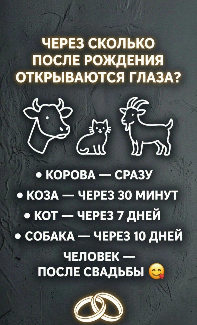 ЧЕРЕЗ СКОЛЬКО ПОСЛЕ РОЖДЕНИЯ ОТКРЫВАЮТСЯ ГЛАЗА? КОРОВА — СРАЗУ КОЗА — ЧЕРЕЗ 30 МИНУТ КОТ — ЧЕРЕЗ 7 ДНЕЙ СОБАКА — ЧЕРЕЗ 10 ДНЕЙ ЧЕЛОВЕК — ПОСЛЕ СВАДЬБЫ