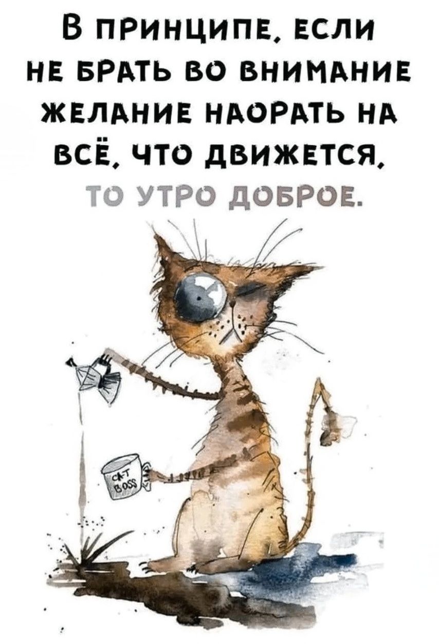В ПРИНЦИПЕ, ЕСЛИ НЕ БРАТЬ ВО ВНИМАНИЕ ЖЕЛАНИЕ НАОРАТЬ НА ВСЁ, ЧТО ДВИЖЕТСЯ, ТО УТРО ДОБРОЕ.