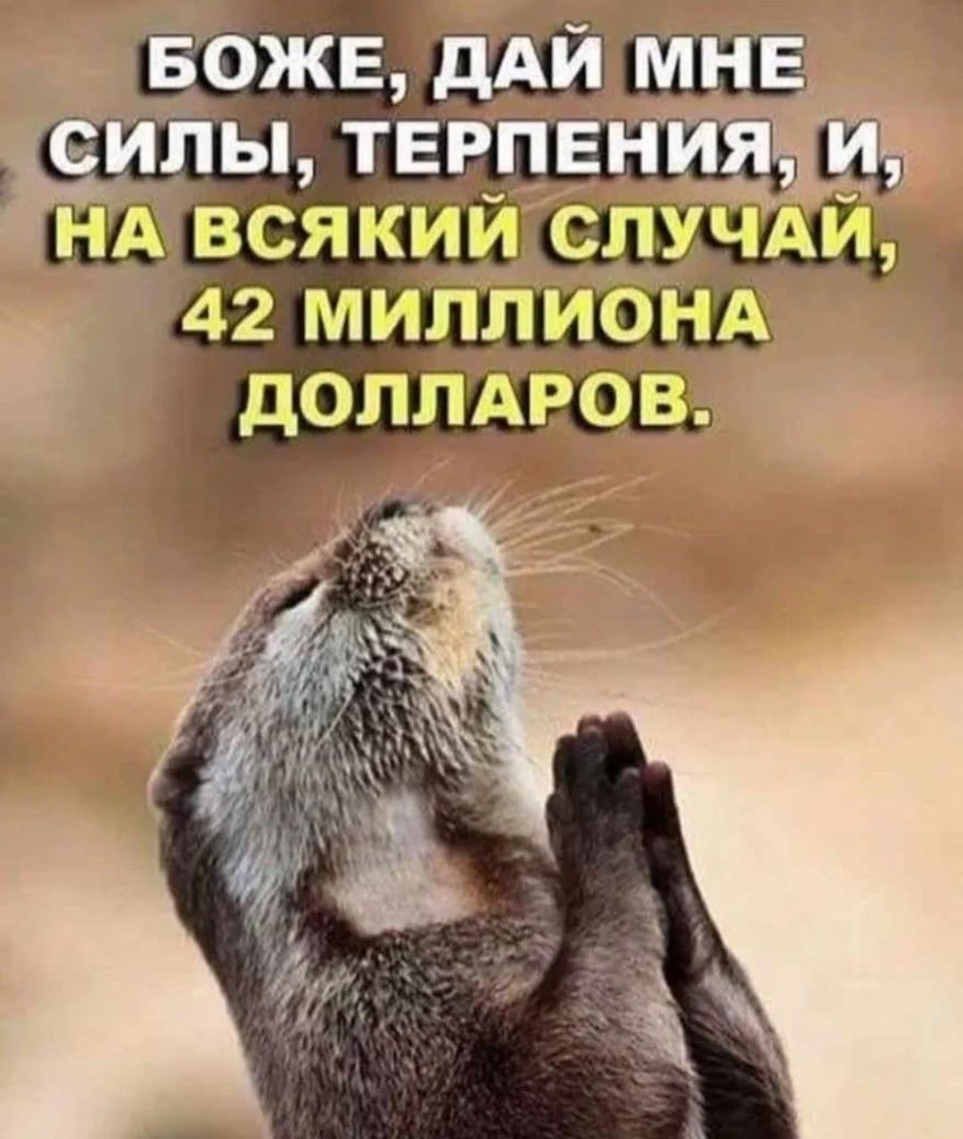 БОЖЕ, ДАЙ МНЕ СИЛЫ, ТЕРПЕНИЯ, И, НА ВСЯКИЙ СЛУЧАЙ, 42 МИЛЛИОНА ДОЛЛАРОВ.