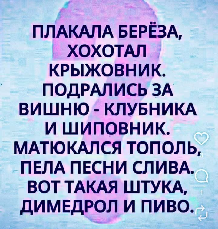 ПЛАКАЛА БЕРЁЗА, ХОХОТАЛ КРЫЖОВНИК. ПОДРАЛИСЬ ЗА ВИШНЮ - КЛУБНИКА И ШИПОВНИК. МАТЮКАЛСЯ ТОПОЛЬ, ПЕЛА ПЕСНИ СЛИВА. ВОТ ТАКАЯ ШТУКА, ДИМЕДРОЛ И ПИВО.