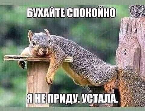 БУХАЙТЕ СПОКОЙНО Я НЕ ПРИДУ. УСТАЛА.