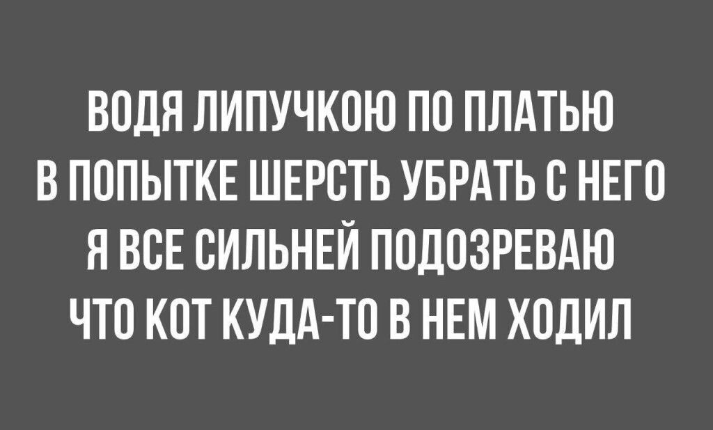 Водя липучкою по платью в попытке шерсть убрать с него, я все сильней подозреваю, что кот куда-то в нем ходил.