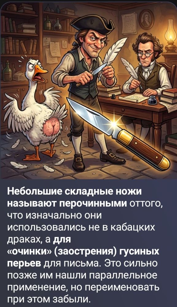 Небольшие складные ножи называют перочинными оттого, что изначально они использовались не в кабацких драках, а для «очинки» (заострения) гусиных перьев для письма. Это сильно позже им нашли параллельное применение, но переименовать при этом забыли.