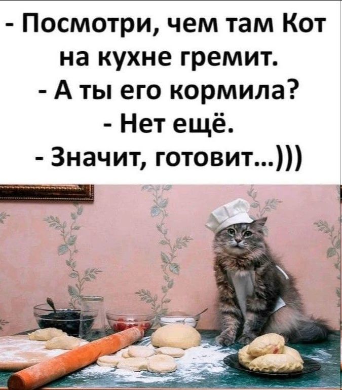 - Посмотри, чем там Кот на кухне гремит. - А ты его кормила? - Нет ещё. - Значит, готовит...)))