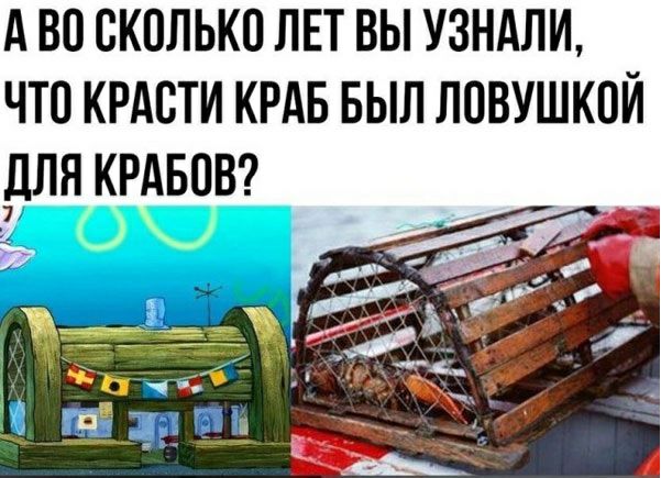 А ВО СКОЛЬКО ЛЕТ ВЫ УЗНАЛИ, ЧТО КРАСТИ КРАБ БЫЛ ЛОВУШКОЙ ДЛЯ КРАБОВ?