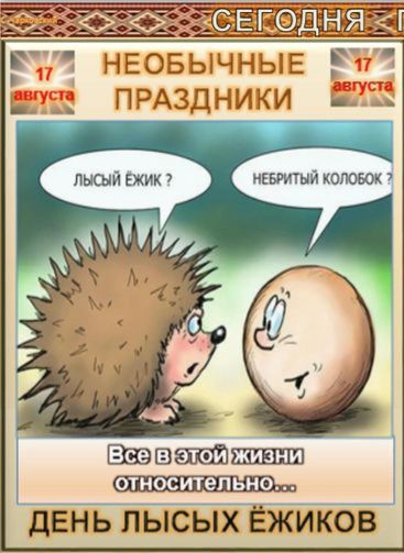 СЕГОДНЯ 17 августа НЕОБЫЧНЫЕ ПРАЗДНИКИ 17 августа ЛЫСЫЙ ЁЖИК ? НЕБРИТЫЙ КОЛОБОК ? Все в этой жизни относительно... ДЕНЬ ЛЫСЫХ ЁЖИКОВ