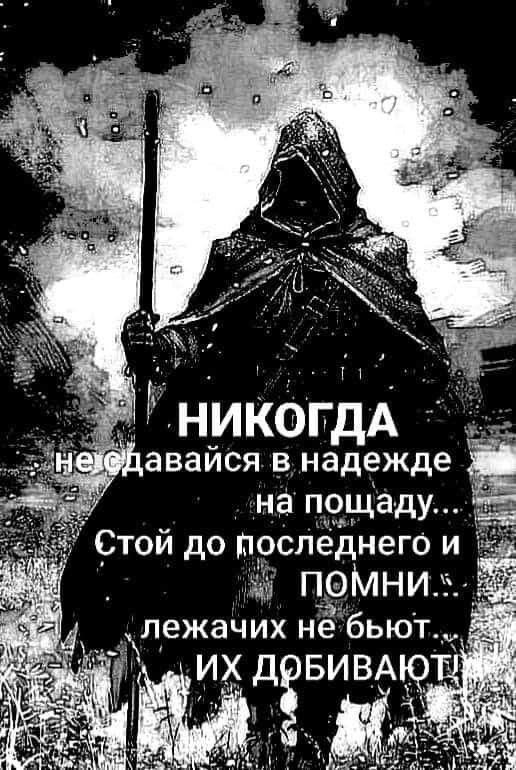 НИКОГДА не сдавайся в надежде на пощаду... Стой до последнего и ПОМНИ... лежачих не бьют... ИХ ДОБИВАЮТ!