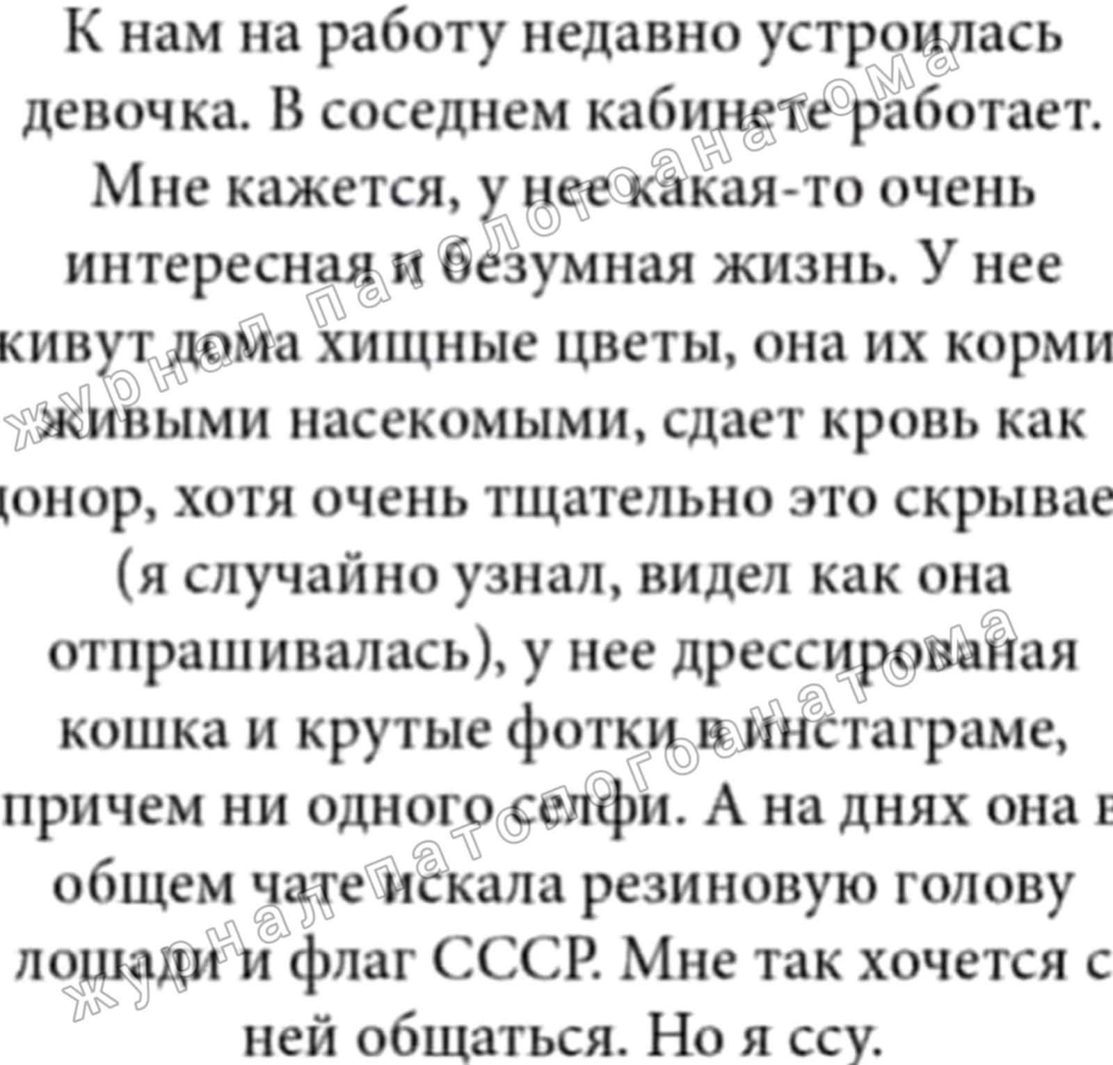 К нам на работу недавно устроилась девочка. В соседнем кабинете работает. Мне кажется, у нее какая-то очень интересная и безумная жизнь. У нее живут дома хищные цветы, она их кормит живыми насекомыми, сдает кровь как донор, хотя очень тщательно это скрывает (я случайно узнал, видел как она отпрашивалась), у нее дрессированная кошка и крутые фотки в