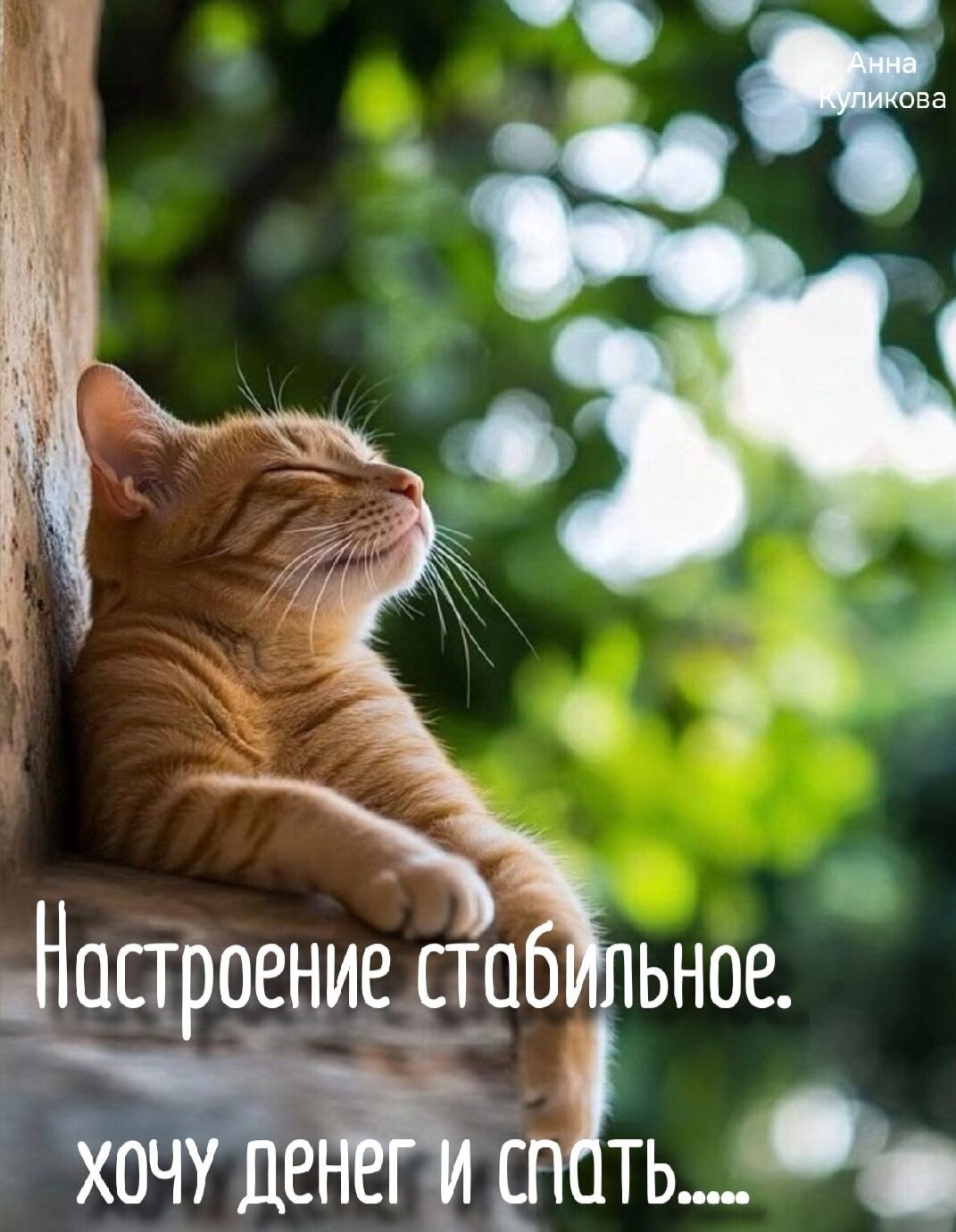 Настроение стабильное. хочу денег и спать..... Анна Куликова