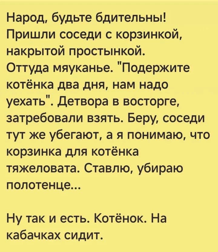 Народ, будьте бдительны! Пришли соседи с корзинкой, накрытой простынкой. Оттуда мяуканье. 
