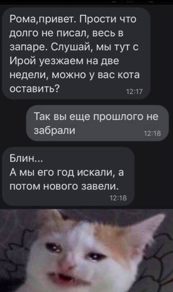 Рома,привет. Прости что долго не писал, весь в запаре. Слушай, мы тут с Ирой уезжаем на две недели, можно у вас кота оставить? Так вы еще прошлого не забрали. Блин... А мы его год искали, а потом нового завели.