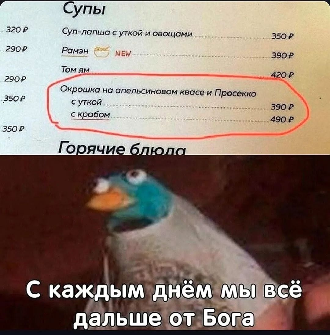 Супы Суп-лапша с уткой и овощами 350 P Рамэн NEW 390 P Том ям 420 P Окрошка на апельсиновом квасе и Просекко с уткой 390 P с крабом 490 P Горячие блюда С каждым днём мы всё дальше от Бога
