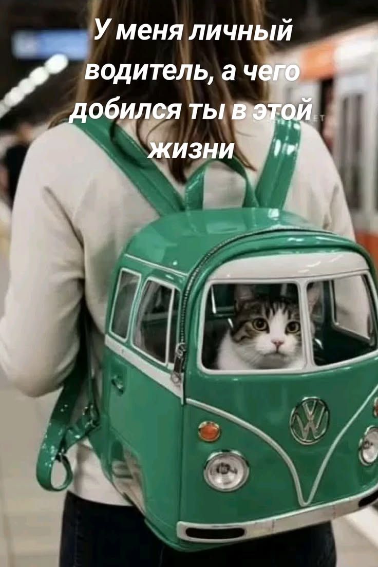 У меня личный водитель, а чего добился ты в этой жизни