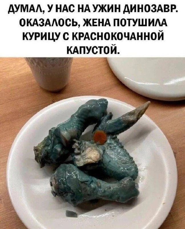 ДУМАЛ, У НАС НА УЖИН ДИНОЗАВР. ОКАЗАЛОСЬ, ЖЕНА ПОТУШИЛА КУРИЦУ С КРАСНОКОЧАННОЙ КАПУСТОЙ.