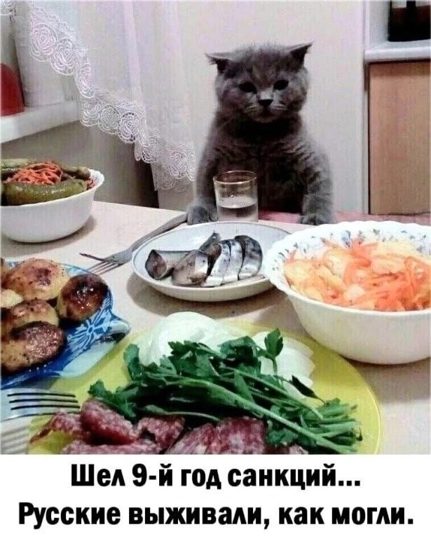 Шел 9-й год санкций... Русские выживали, как могли.