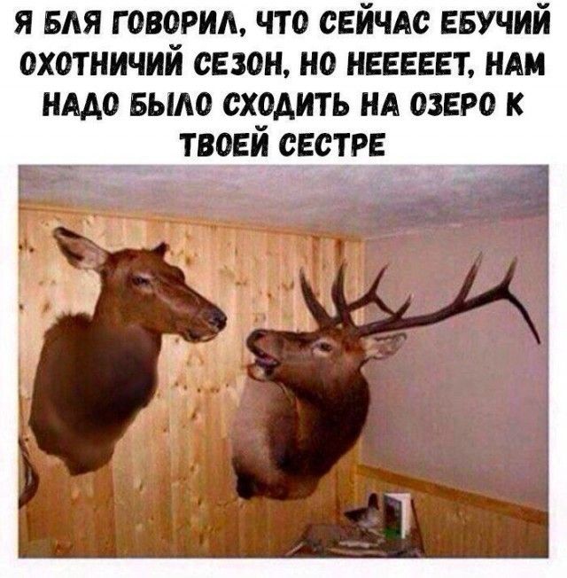 Я бля говорил, что сейчас ебучий охотничий сезон, но нееееет, нам надо было сходить на озеро к твоей сестре