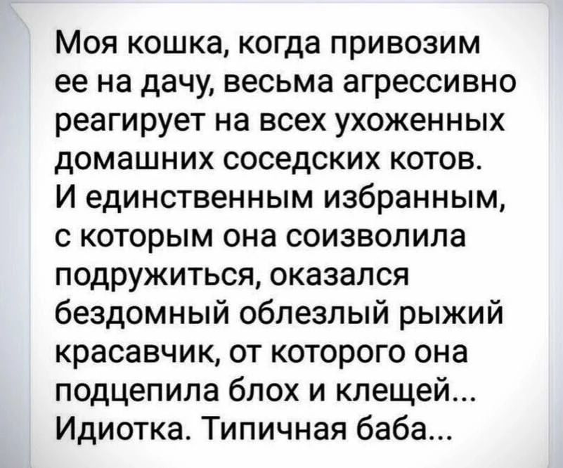 Моя кошка, когда привозим ее на дачу, весьма агрессивно реагирует на всех ухоженных домашних соседских котов. И единственным избранным, с которым она соизволила подружиться, оказался бездомный облезлый рыжий красавчик, от которого она подцепила блох и клещей... Идиотка. Типичная баба...