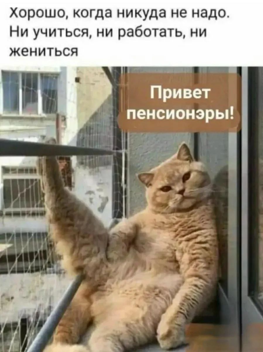 Хорошо, когда никуда не надо. Ни учиться, ни работать, ни жениться. Привет пенсионеры!