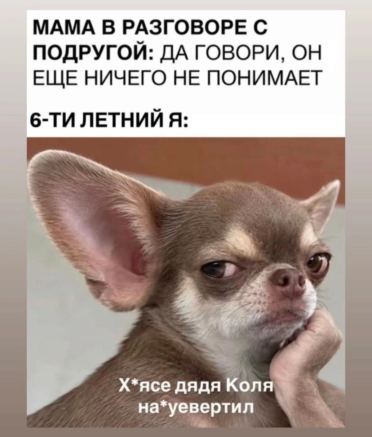 МАМА В РАЗГОВОРЕ С ПОДРУГОЙ: ДА ГОВОРИ, ОН ЕЩЕ НИЧЕГО НЕ ПОНИМАЕТ 6-ТИ ЛЕТНИЙ Я: Х*ясе дядя Коля на*увертил