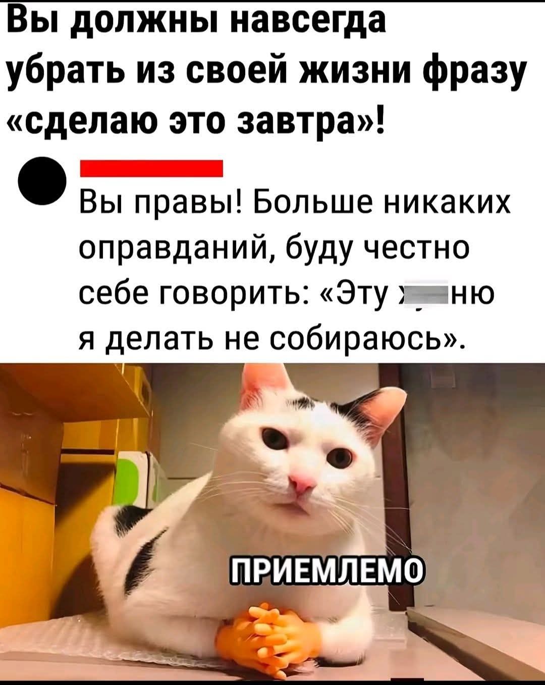 Вы должны навсегда убрать из своей жизни фразу «сделаю это завтра»! Вы правы! Больше никаких оправданий, буду честно себе говорить: «Эту херню я делать не собираюсь». ПРИЕМЛЕМО