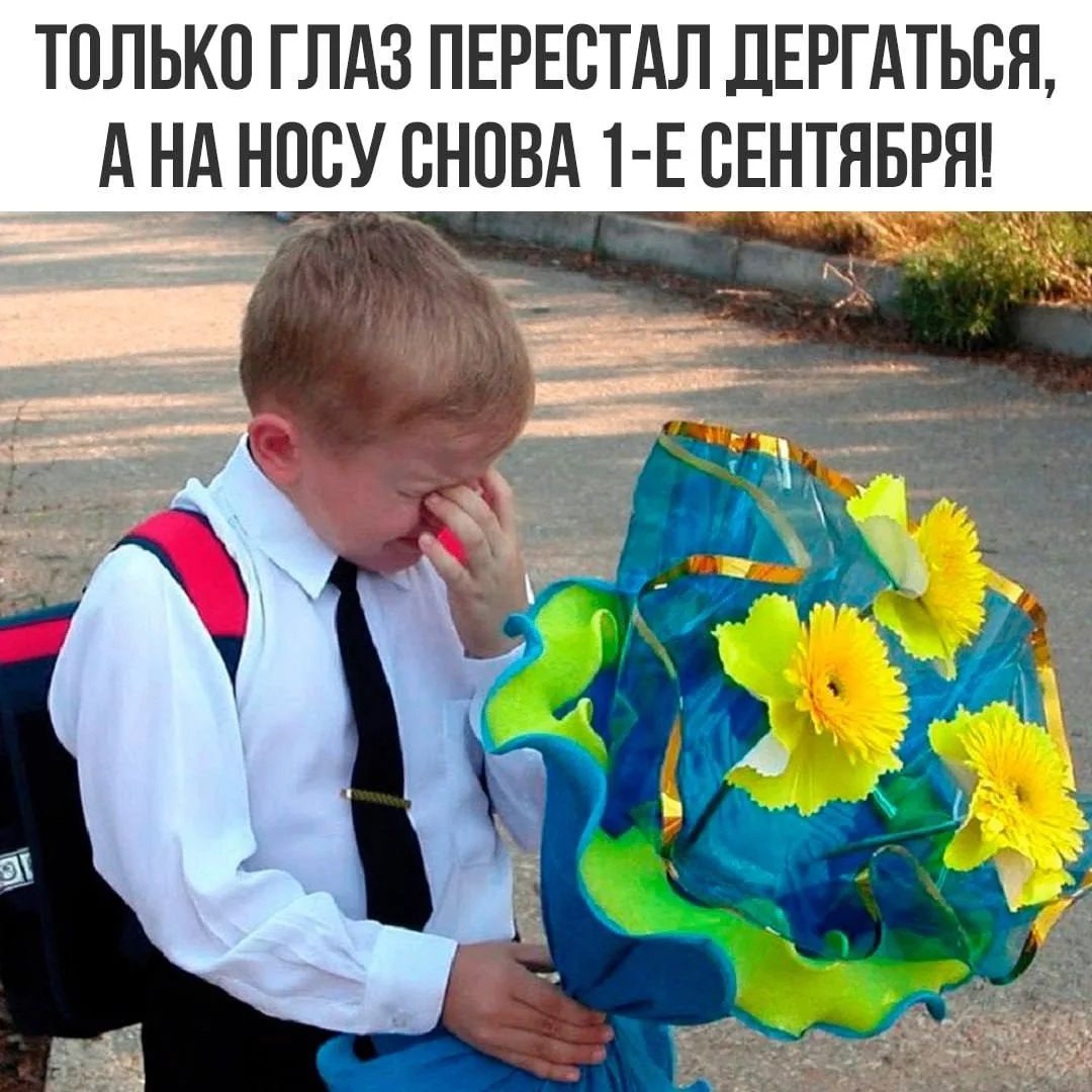 ТОЛЬКО ГЛАЗ ПЕРЕСТАЛ ДЕРГАТЬСЯ, А НА НОСУ СНОВА 1-Е СЕНТЯБРЯ!