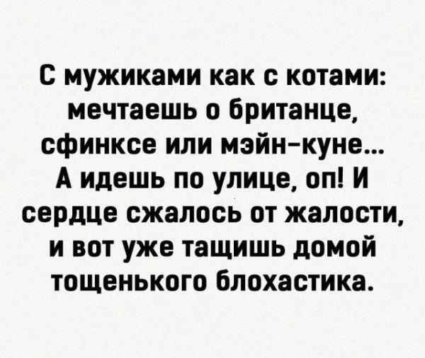С мужиками как с котами: мечтаешь о британце, сфинксе или мэйн-куне... А идешь по улице, оп! И сердце сжалось от жалости, и вот уже тащишь домой тощенького блохастика.