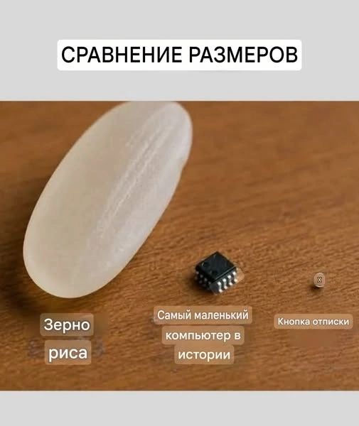 СРАВНЕНИЕ РАЗМЕРОВ Зерно риса Самый маленький компьютер в истории Кнопка отписки