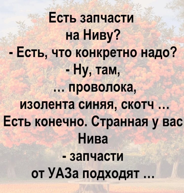 Есть запчасти на Ниву?
- Есть, что конкретно надо?
- Ну, там, ... проволока, изолента синяя, скотч ...
Есть конечно. Странная у вас Нива
- запчасти от УАЗа подходят ...