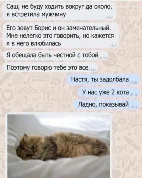 Саш, не буду ходить вокруг да около, я встретила мужчину. Его зовут Борис и он замечательный. Мне нелегко это говорить, но кажется я в него влюбилась. Я обещала быть честной с тобой. Поэтому говорю тебе это все. Настя, ты задолбала. У нас уже 2 кота. Ладно, показывай.