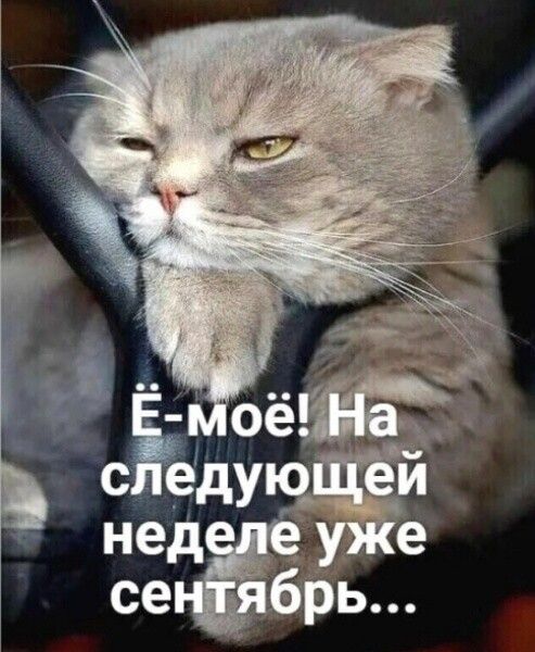 Ё-моё! На следующей неделе уже сентябрь...