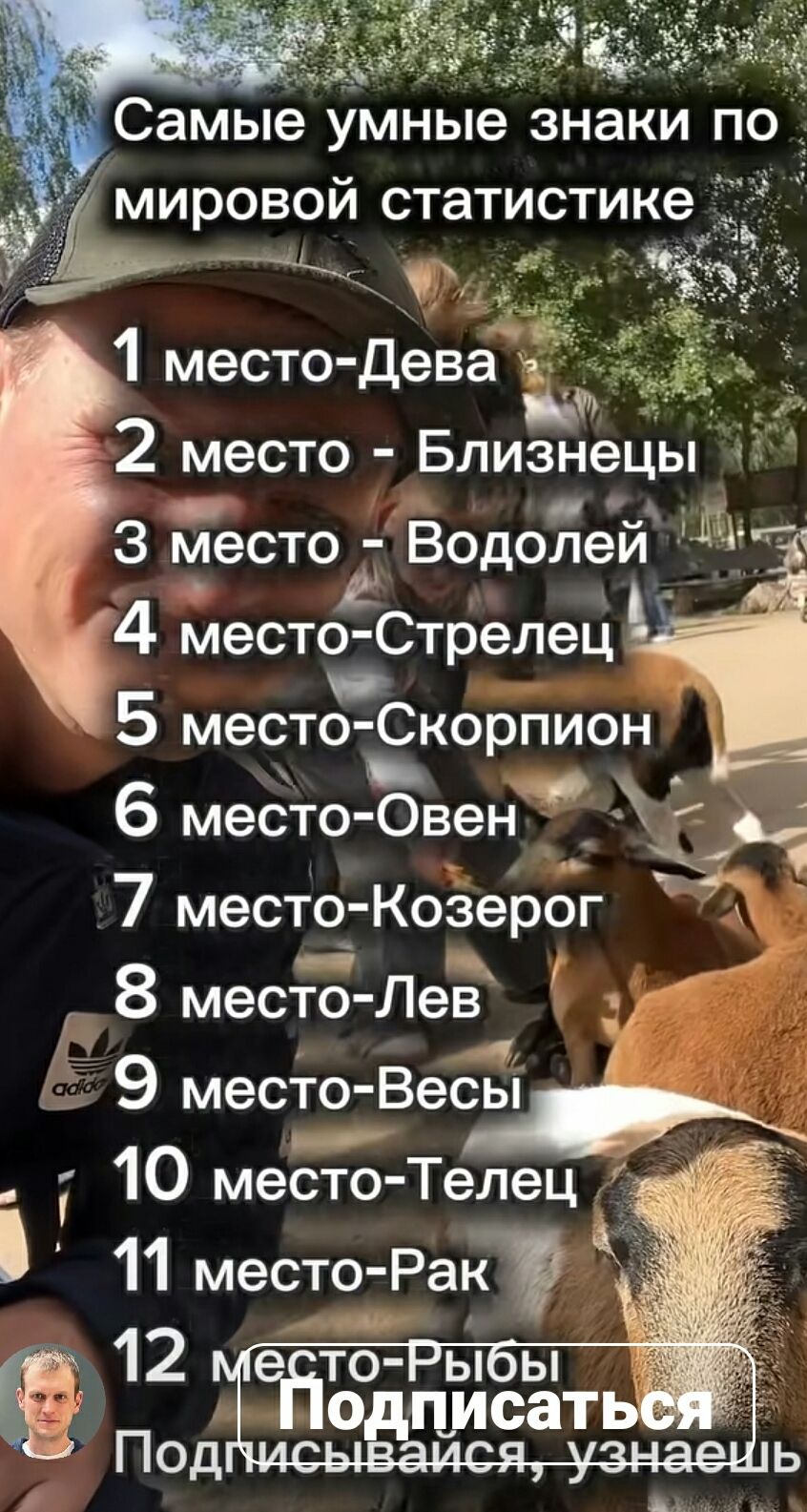 Самые умные знаки по мировой статистике 1 место-Дева 2 место - Близнецы 3 место - Водолей 4 место-Стрелец 5 место-Скорпион 6 место-Овен 7 место-Козерог 8 место-Лев 9 место-Весы 10 место-Телец 11 место-Рак 12 место-Рыбы Подписаться Подписывайся, узнаешь